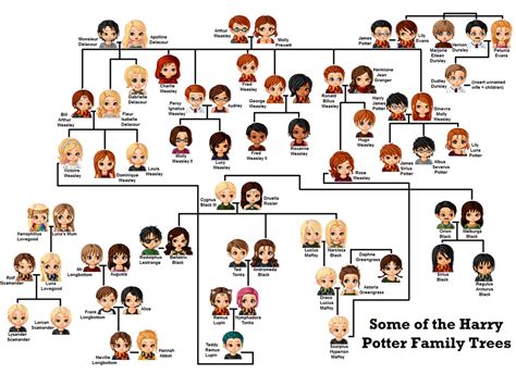 family tree of harry potter|harry potter mom and dad.